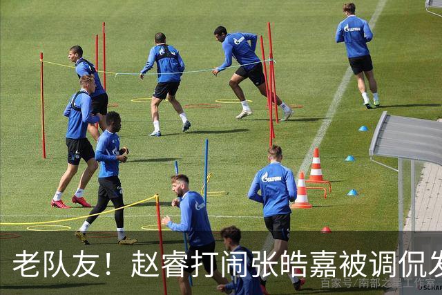 老队友！赵睿"打闹"张皓嘉被调侃发型 布朗陈盈骏崔永熙焦泊乔合照留念