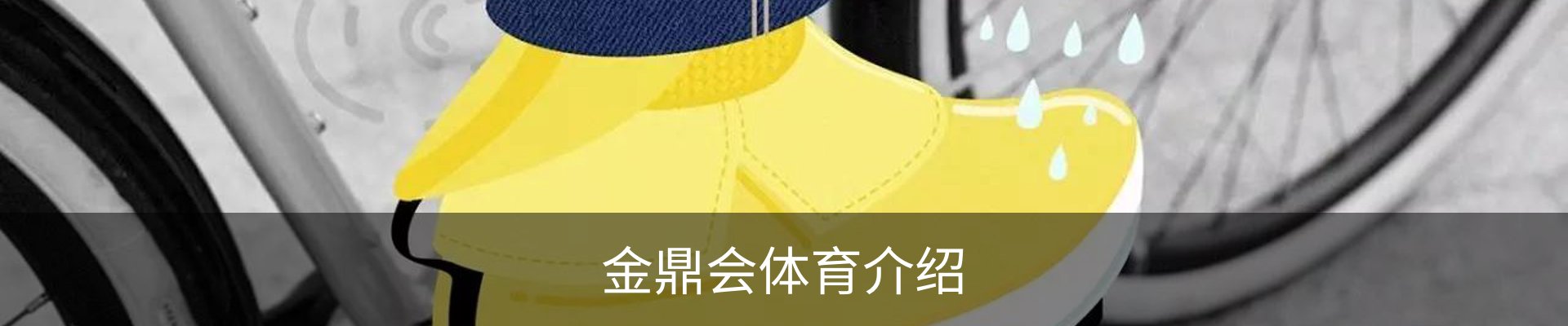 金鼎会体育介绍